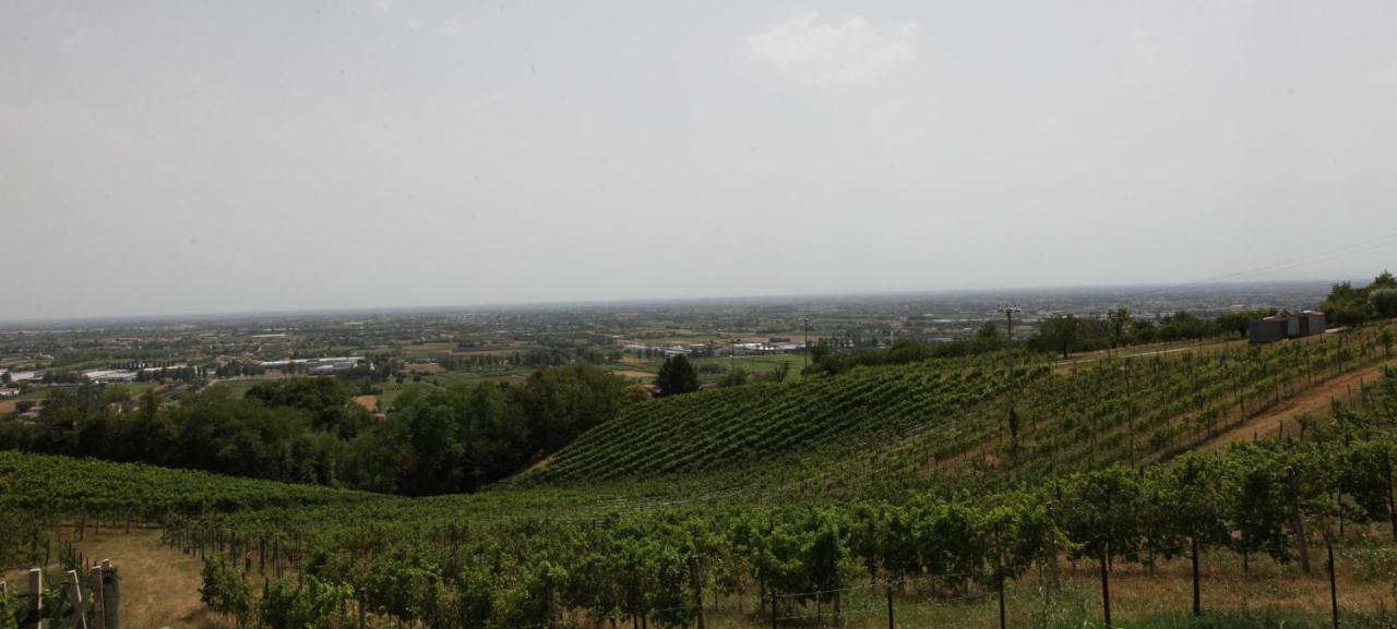 Terrazza San Vettore Con Colazione, Relax In Collina Con Vista Sui Vigneti Docg Asolo Maser
