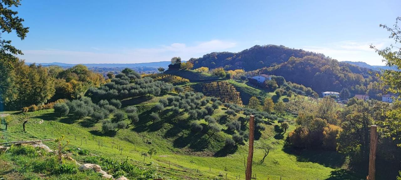 Gasthof Terrazza San Vettore Con Colazione, Relax In Collina Con Vista Sui Vigneti Docg Asolo